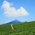 Un chemin menant à La Rhune