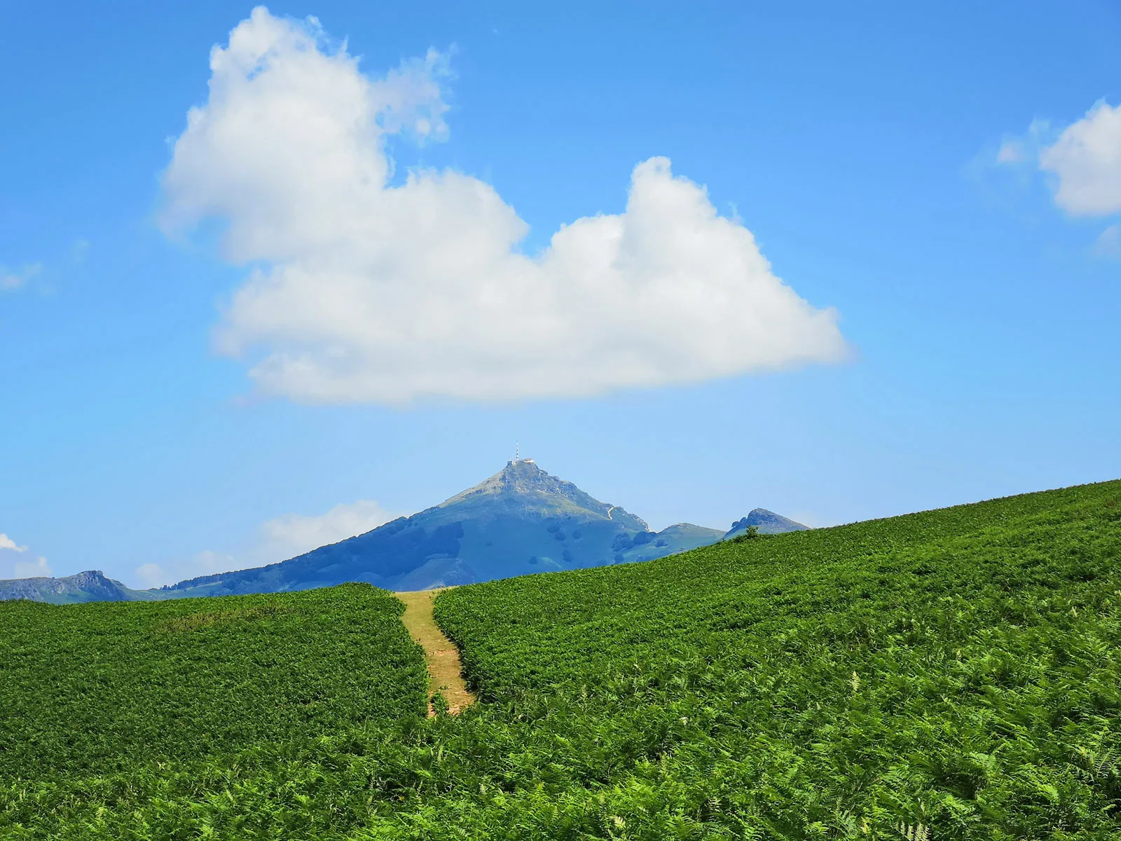 Un chemin menant à La Rhune
